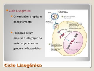 Ciclo Lisogénico

    Os vírus não se replicam

     imediatamente;


    Formação de um

     provírus e integração do
     material genético no
     genoma do hospedeiro;




Ciclo Lisogénico
 