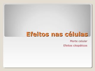 Efeitos nas células
                Morte celular
           Efeitos citopáticos
 
