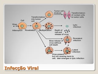 Infecção Viral
 
