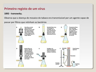 Primeiro registo de um vírus
1892 - Ivanowsky.
Observa que a doença do mosaico do tabaco era transmissivel por um agente capaz de
passar por filtros que retinham as bactérias
 