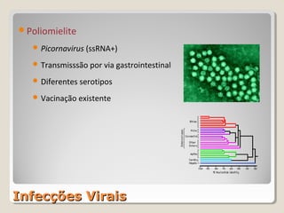 Poliomielite

    Picornavirus (ssRNA+)

    Transmisssão por via gastrointestinal

    Diferentes serotipos

    Vacinação existente




Infecções Virais
 