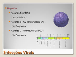 Hepatite

   Hepatite A (ssRNA+)

     Via Oral-fecal
   Hepatite B – hepadnavirus (dsDNA)

     Via Sanguínea
   Hepatite C – Picornavirus (ssRNA+)

     Via Sanguínea




Infecções Virais
 