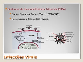 Síndrome da Imunodeficiência Adquirida (SIDA)

    Human Immunodeficiency Virus – HIV (ssRNA)

    Retrovírus com transcritase reversa




Infecções Virais
 