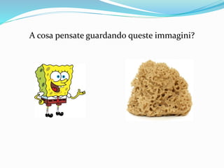 A cosa pensate guardando queste immagini?
 