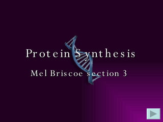 Protein Synthesis Mel Briscoe section 3   