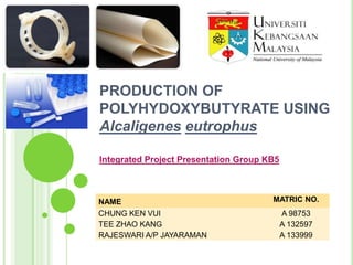PRODUCTION OF
POLYHYDOXYBUTYRATE USING
Alcaligenes eutrophus
Integrated Project Presentation Group KB5

NAME
CHUNG KEN VUI
TEE ZHAO KANG
RAJESWARI A/P JAYARAMAN

MATRIC NO.
A 98753
A 132597
A 133999

 