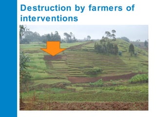 Destruction by farmers of
interventions

 