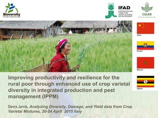 Improving productivity and resilience for the
rural poor through enhanced use of crop varietal
diversity in integrated production and pest
management (IPPM)
Devra Jarvis, Analyzing Diversity, Damage, and Yield data from Crop
Varietal Mixtures, 20-24 April 2015 Italy
 
