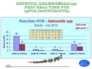 Detectia prezentei Salmonella spp prin real time PCR