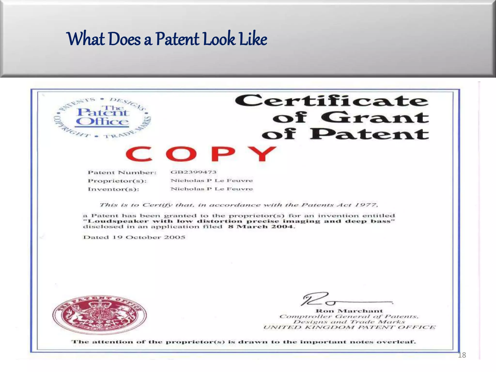 What Does a Patent Look Like
18
 