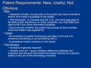 IP Litigation Overview Presentation | PPT