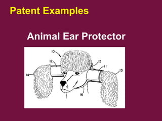 Patent Examples
Animal Ear Protector
 
