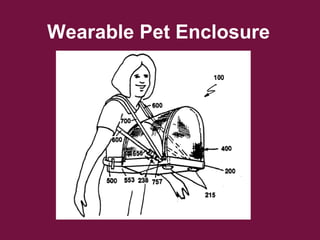Wearable Pet Enclosure
 