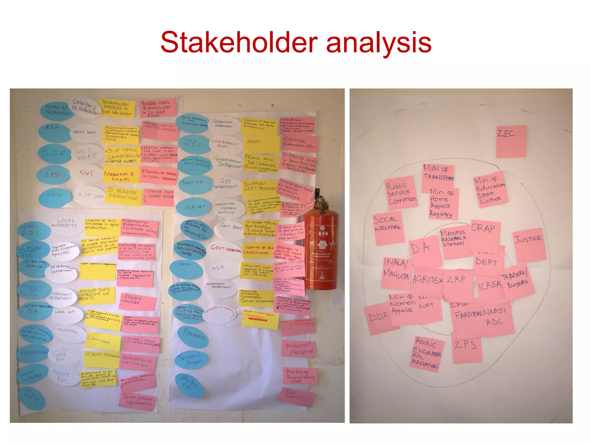 Stakeholder analysis
 