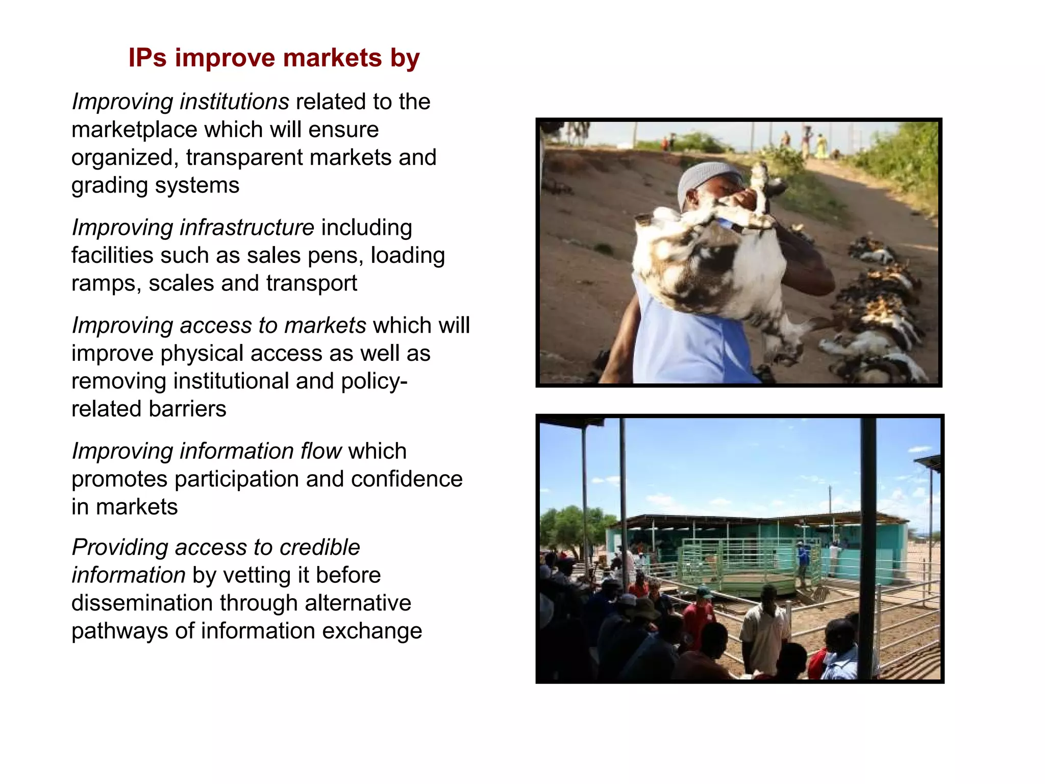 IPs improve markets by
Improving institutions related to the
marketplace which will ensure
organized, transparent markets and
grading systems
Improving infrastructure including
facilities such as sales pens, loading
ramps, scales and transport
Improving access to markets which will
improve physical access as well as
removing institutional and policy-
related barriers
Improving information flow which
promotes participation and confidence
in markets
Providing access to credible
information by vetting it before
dissemination through alternative
pathways of information exchange
 