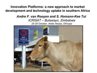 Innovation Platforms: a new approach to market
development and technology uptake in southern Africa
Andre F. van Rooyen and S. Homann-Kee Tui
ICRISAT – Bulawayo, Zimbabwe
25-28 October, Addis Ababa, Ethiopia
 