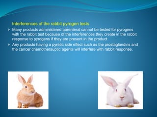 Interferences of the rabbit pyrogen tests 
 Many products administered parenteral cannot be tested for pyrogens 
with the rabbit test because of the interferences they create in the rabbit 
response to pyrogens if they are present in the product 
 Any products having a pyretic side effect such as the prostaglandins and 
the cancer chemotherauptic agents will interfere with rabbit response. 
 