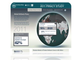 Intellectual Property Rights in Software | PDF