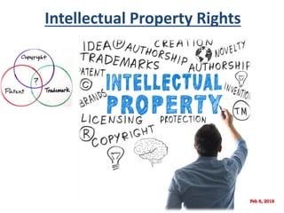 Intellectual Property Rights in Software | PDF | Law