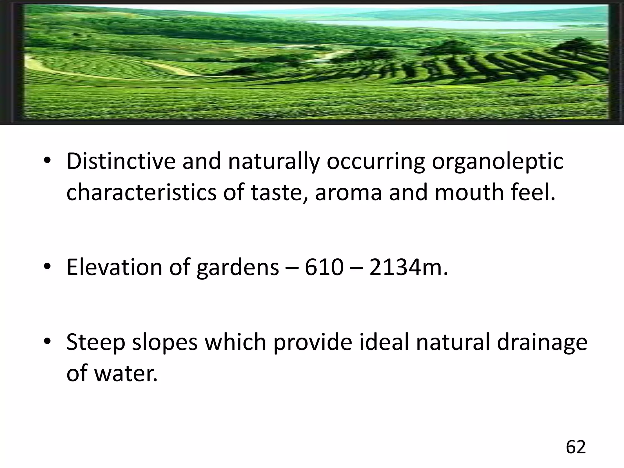 • Distinctive and naturally occurring organoleptic
characteristics of taste, aroma and mouth feel.
• Elevation of gardens – 610 – 2134m.
• Steep slopes which provide ideal natural drainage
of water.
62
 