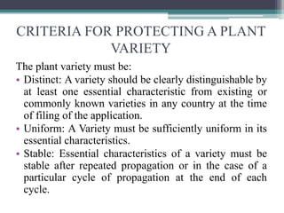 CRITERIA FOR PROTECTING A PLANT
VARIETY
The plant variety must be:
• Distinct: A variety should be clearly distinguishable by
at least one essential characteristic from existing or
commonly known varieties in any country at the time
of filing of the application.
• Uniform: A Variety must be sufficiently uniform in its
essential characteristics.
• Stable: Essential characteristics of a variety must be
stable after repeated propagation or in the case of a
particular cycle of propagation at the end of each
cycle.
 