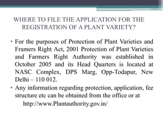 WHERE TO FILE THE APPLICATION FOR THE
REGISTRATION OF A PLANT VARIETY?
• For the purposes of Protection of Plant Varieties and
Framers Right Act, 2001 Protection of Plant Varieties
and Farmers Right Authority was established in
October 2005 and its Head Quarters is located at
NASC Complex, DPS Marg, Opp-Todapur, New
Delhi – 110 012.
• Any information regarding protection, application, fee
structure etc can be obtained from the office or at
http://www.Plantauthority.gov.in/
 
