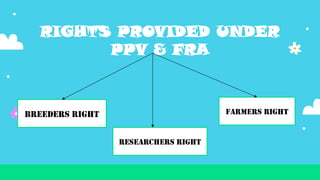 Farmers Rights Vs Researchers Rights Intellectual property rights in plant breeding | PPTX