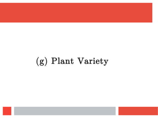 (g) Plant Variety
 