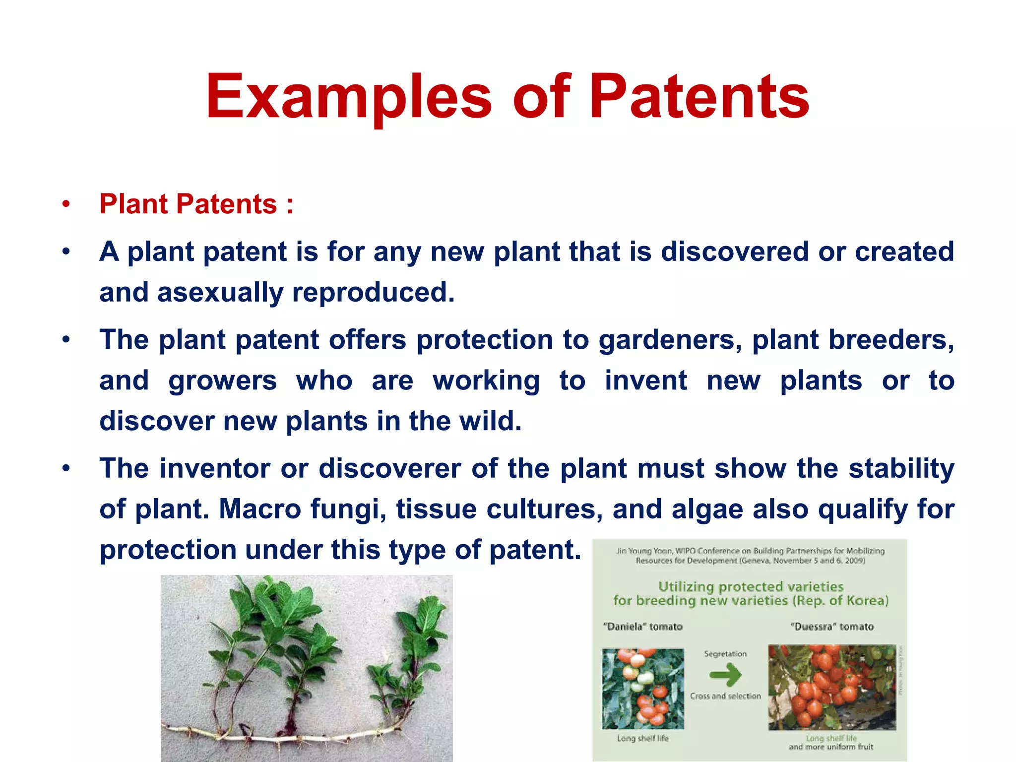 Examples of Patents
• Plant Patents :
• A plant patent is for any new plant that is discovered or created
and asexually reproduced.
• The plant patent offers protection to gardeners, plant breeders,
and growers who are working to invent new plants or to
discover new plants in the wild.
• The inventor or discoverer of the plant must show the stability
of plant. Macro fungi, tissue cultures, and algae also qualify for
protection under this type of patent.
 