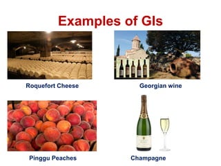 Examples of GIs
Roquefort Cheese Georgian wine
Pinggu Peaches Champagne
 