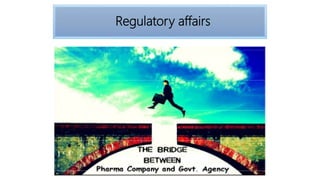 Regulatory affairs
 
