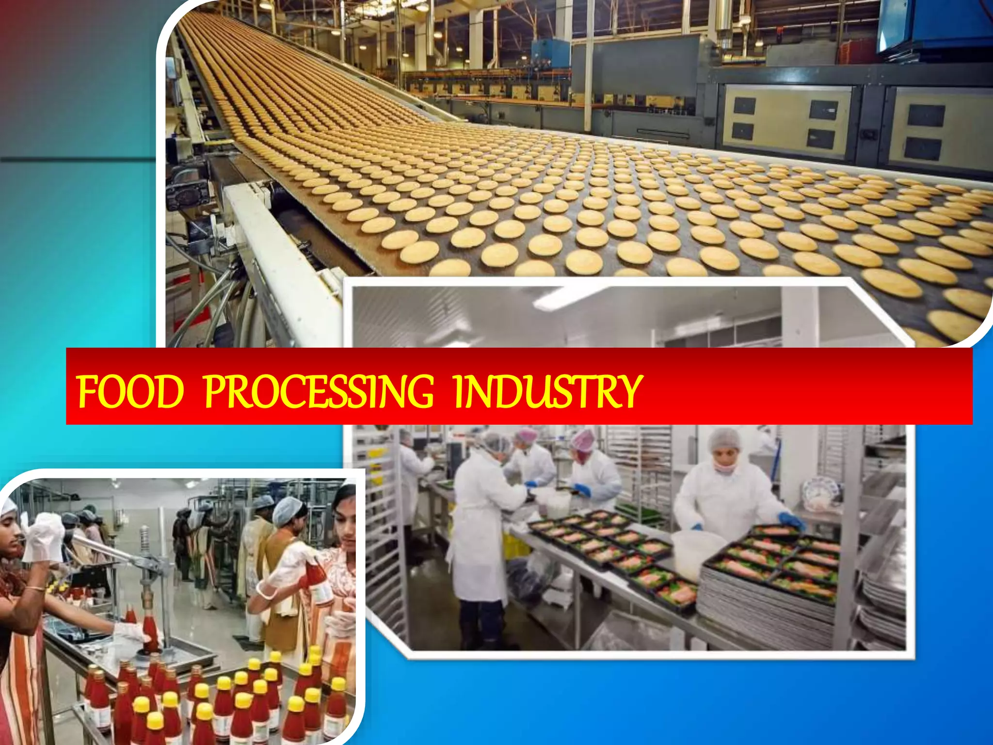 FOOD PROCESSING INDUSTRY
 