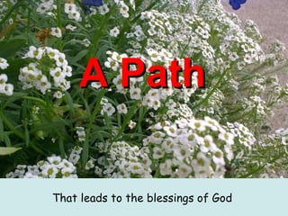   A Path   That leads to the blessings of God   