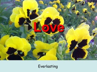 Love Everlasting  