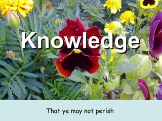 Knowledge   That ye may not perish  