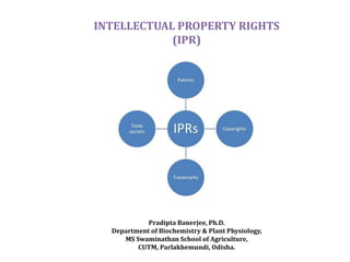 Ipr Example Intellectual Property Rights Notes for B.Sc. & M.Sc. Students | PDF