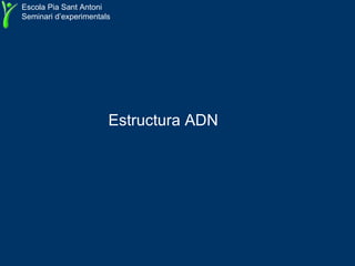 Estructura ADN   Escola Pia Sant Antoni Seminari d’experimentals 
