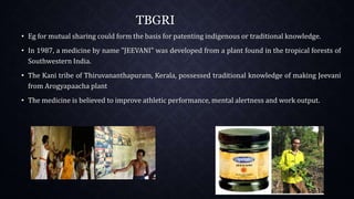 TBGRI
• Eg for mutual sharing could form the basis for patenting indigenous or traditional knowledge.
• In 1987, a medicine by name "JEEVANI" was developed from a plant found in the tropical forests of
Southwestern India.
• The Kani tribe of Thiruvananthapuram, Kerala, possessed traditional knowledge of making Jeevani
from Arogyapaacha plant
• The medicine is believed to improve athletic performance, mental alertness and work output.
 