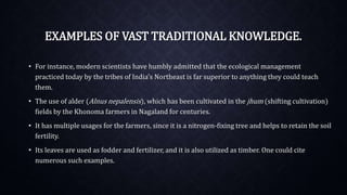 EXAMPLES OF VAST TRADITIONAL KNOWLEDGE.
• For instance, modern scientists have humbly admitted that the ecological management
practiced today by the tribes of India's Northeast is far superior to anything they could teach
them.
• The use of alder (Alnus nepalensis), which has been cultivated in the jhum (shifting cultivation)
fields by the Khonoma farmers in Nagaland for centuries.
• It has multiple usages for the farmers, since it is a nitrogen-fixing tree and helps to retain the soil
fertility.
• Its leaves are used as fodder and fertilizer, and it is also utilized as timber. One could cite
numerous such examples.
 