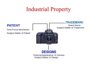 Industrial Property
 