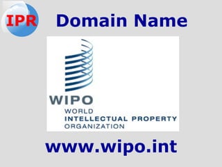 Domain Name
www.wipo.int
IPR
 