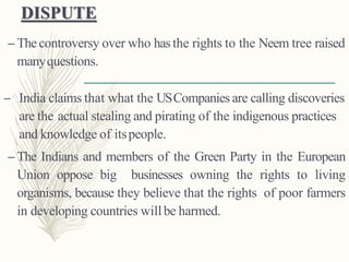 DISPUTE
– The controversy over who has the rights to the Neem tree raised
manyquestions.
– India claims that what the USCompanies are calling discoveries
are the actual stealing and pirating of the indigenous practices
and knowledge of itspeople.
– The Indians and members of the Green Party in the European
Union oppose big businesses owning the rights to living
organisms, because they believe that the rights of poor farmers
in developing countries willbe harmed.
 