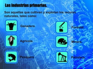 Las industrias primarias.
Son aquellas que cultivan y explotan los recurso
naturales, tales como:
Ganadera.
Agrícola.
Pesquera.
Forestal.
Minera.
Petrolera.
 