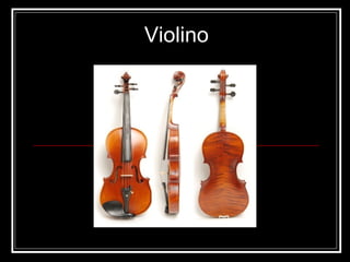 Violino 