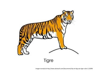 Tigre
Imagen tomada de http://www.abcteach.com/documents/clip-art-big-cats-tiger-color-2-25098
 