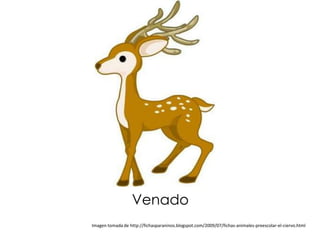 Venado
Imagen tomada de http://fichasparaninos.blogspot.com/2009/07/fichas-animales-preescolar-el-ciervo.html
 
