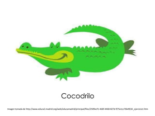 Cocodrilo
Imagen tomada de http://www.educa2.madrid.org/web/educamadrid/principal/files/2509ecf1-4d6f-4468-827d-975e1cc76b49/dr_ejercicio1.htm
 