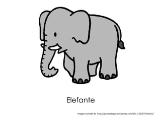 Elefante
   Imagen tomada de http://provesbego.wordpress.com/2011/10/07/elefant/
 