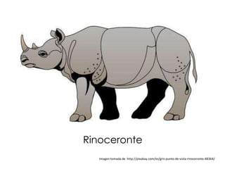 Rinoceronte
  Imagen tomada de http://pixabay.com/es/gris-punto-de-vista-rinoceronte-48364/
 