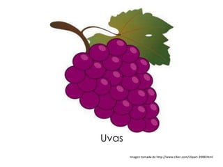 Uvas
       Imagen tomada de http://www.clker.com/clipart-3988.html
 